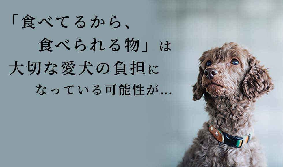 「食べてるから、食べられる物」は 
                大切な愛犬の負担になっている可能性が… 